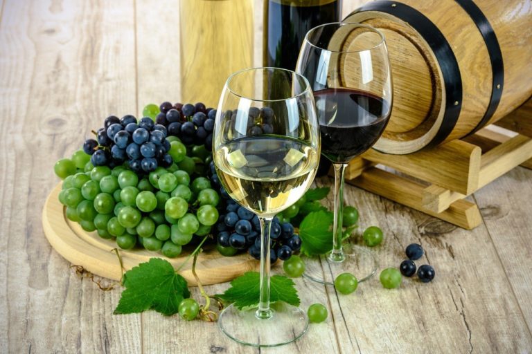 Vins bios : les bonnes raisons d’y succomber