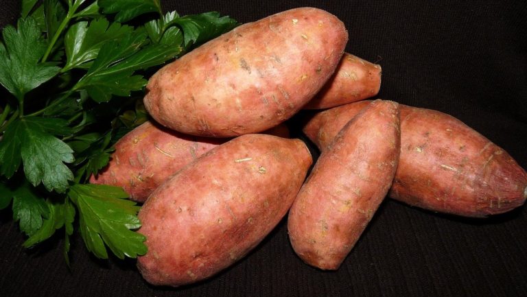 Des conseils pour cuire des patates douces à la perfection