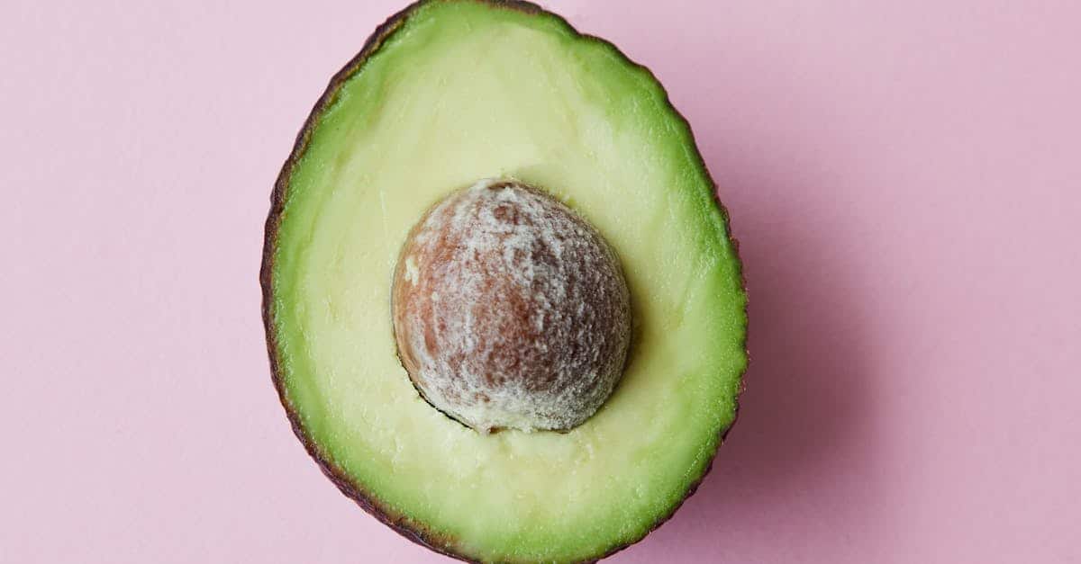 découvrez une palette de saveurs exotiques qui éveilleront vos sens. plongez dans un voyage culinaire unique avec des ingrédients rares et des combinaisons audacieuses, idéales pour les aventuriers du goût.