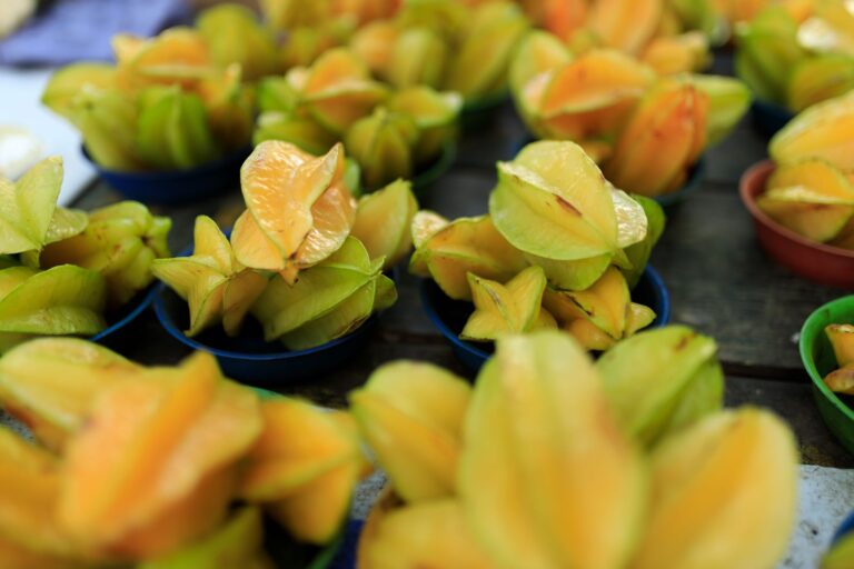 Envie de découvrir des saveurs exotiques ?