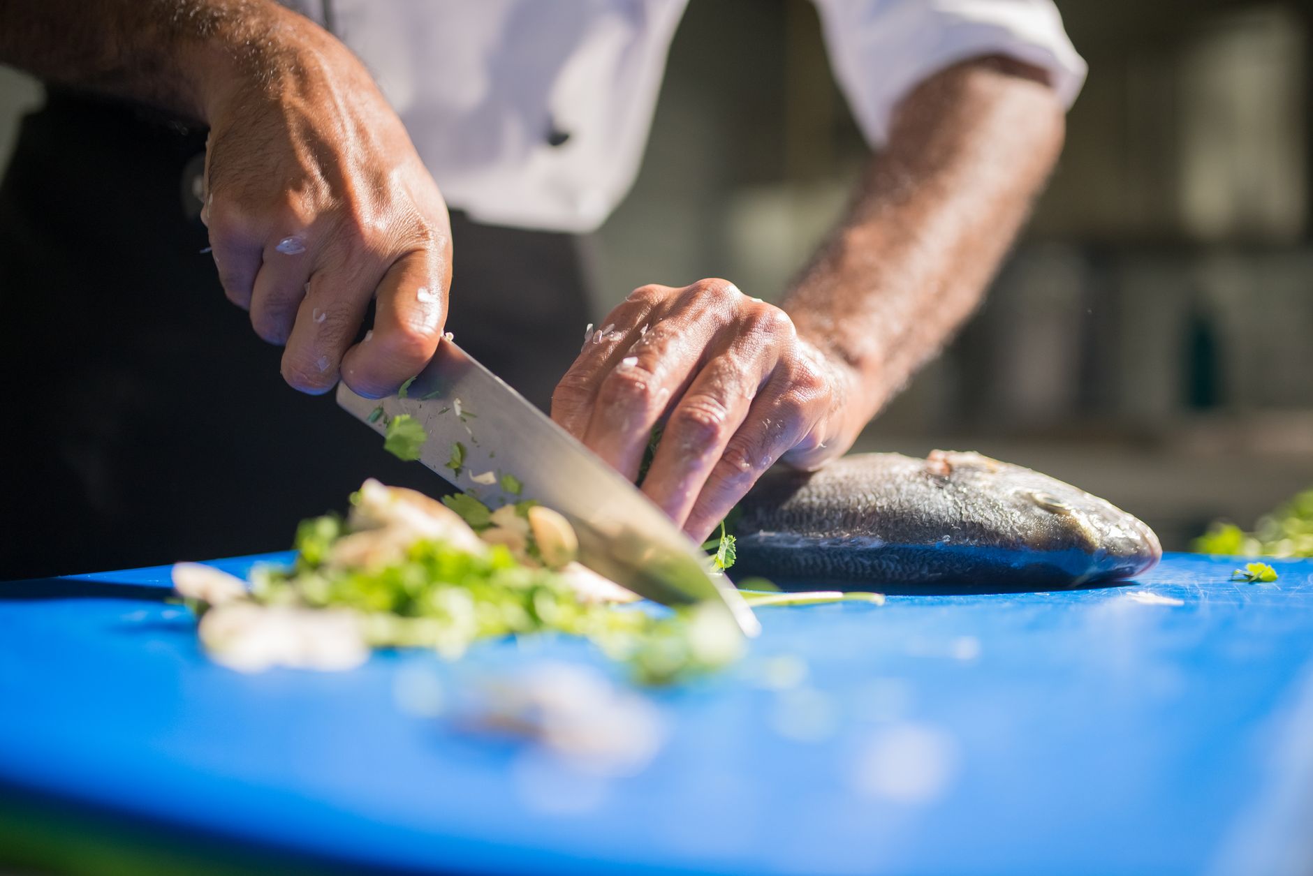 Quelles recettes impressionneront les passionnés de gastronomie en cuisine ?